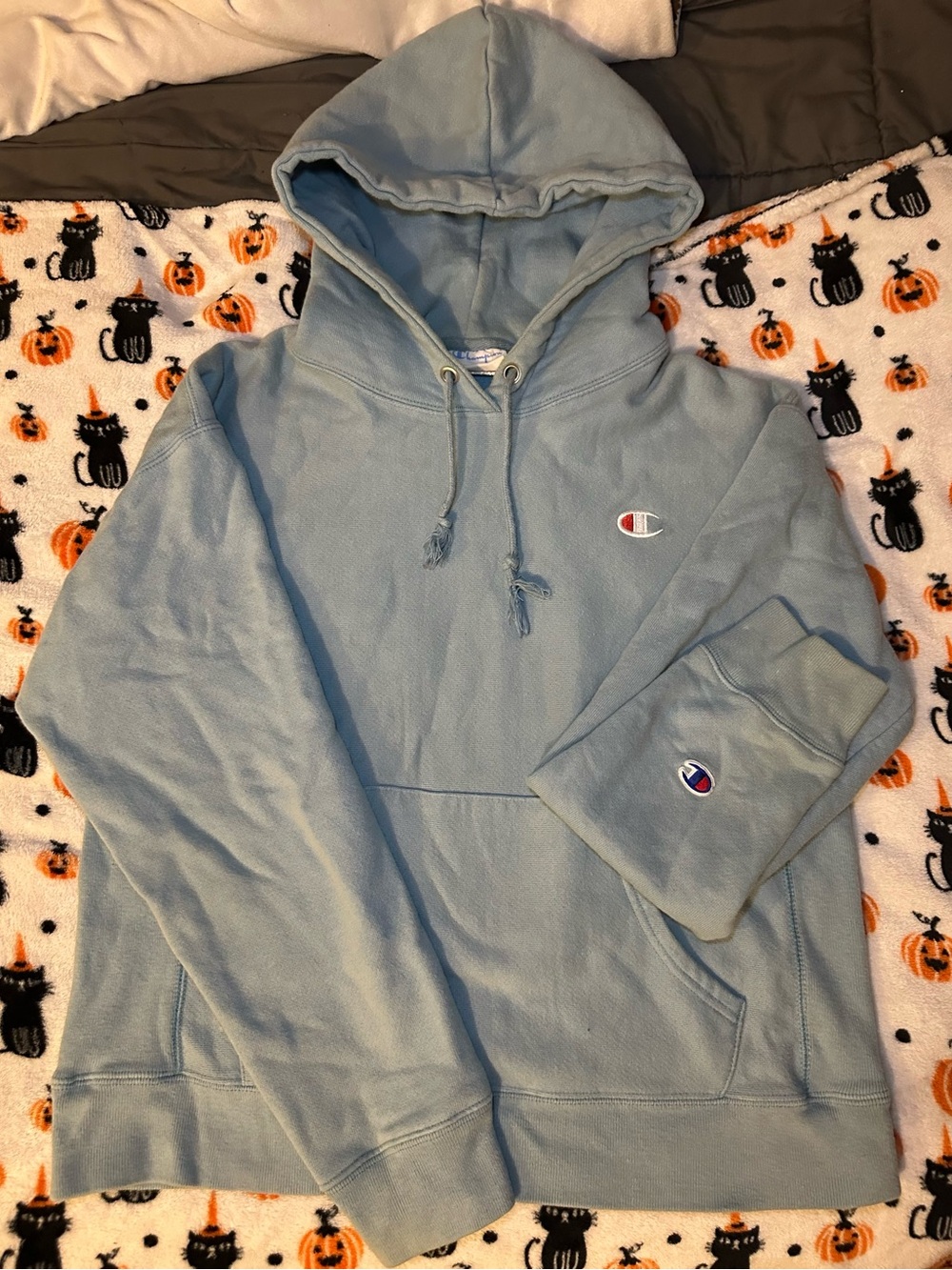 Champion Light Blue women's Hoodie